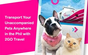 Transport Your Unaccompanied Pets Anywhere In PH With 2GO Travel