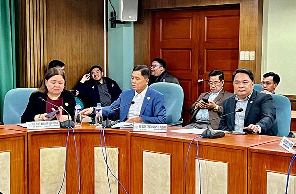 Central Negros Power Shift: Congress Approves NEPC's Franchise Proposal