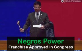 Negros Power Franchise Approved In Congress: A Step Towards Improved Electricity Distribution