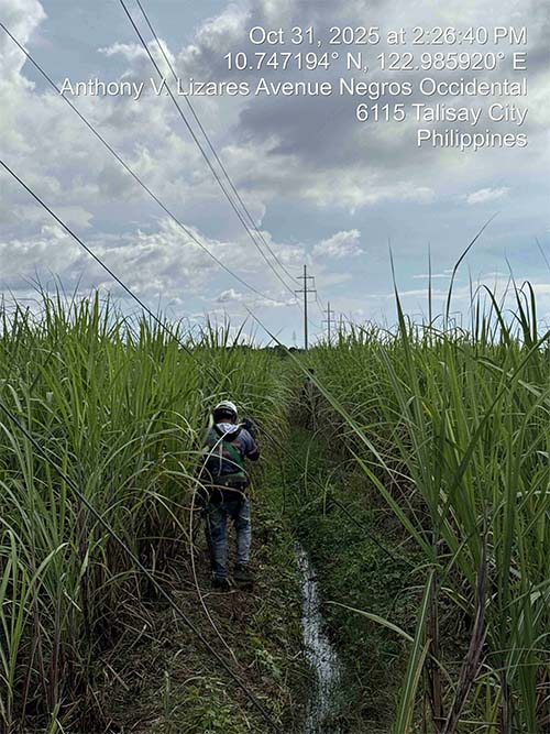 Negros Power Crews Continue Maintenance Efforts Amid Holiday Break