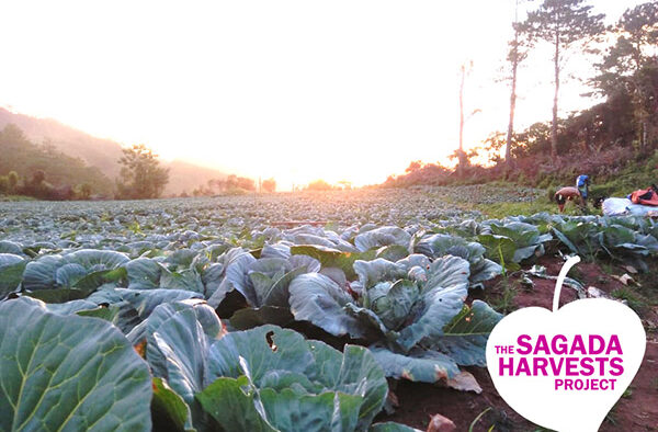 Why Igorots In Metro Manila Directly Source Goods From Farmers