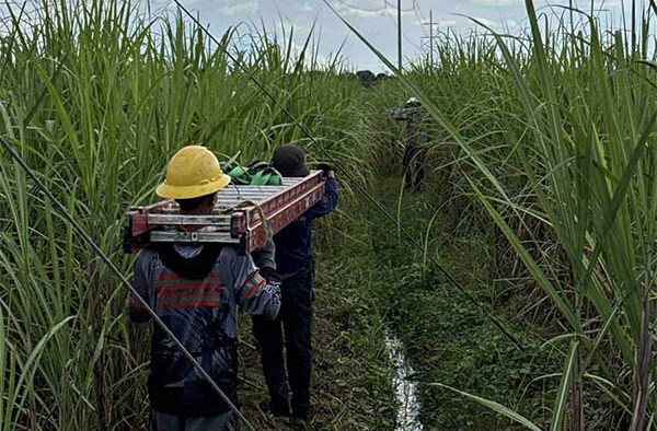 Negros Power Crews Continue Maintenance Efforts Amid Holiday Break